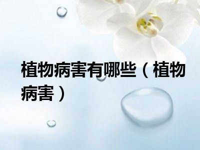 植物病害有哪些（植物病害）