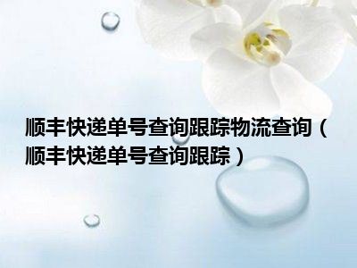 顺丰快递单号查询跟踪物流查询（顺丰快递单号查询跟踪）