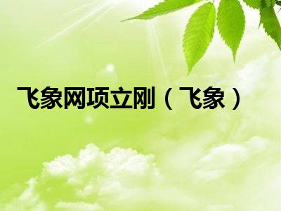飞象网项立刚（飞象）