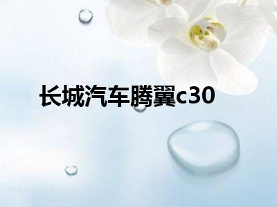 长城汽车腾翼c30