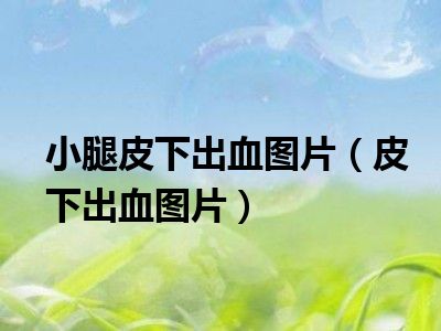 小腿皮下出血图片（皮下出血图片）