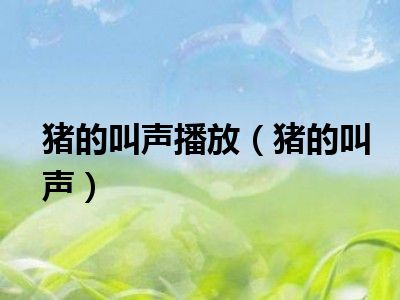 猪的叫声播放（猪的叫声）