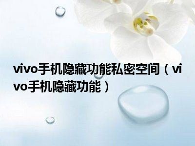 vivo手机隐藏功能私密空间（vivo手机隐藏功能）
