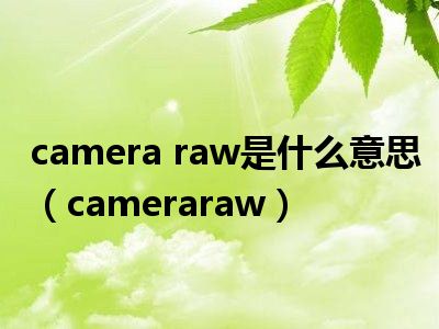 camera raw是什么意思（cameraraw）