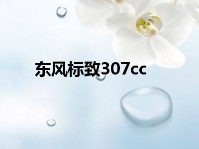东风标致307cc
