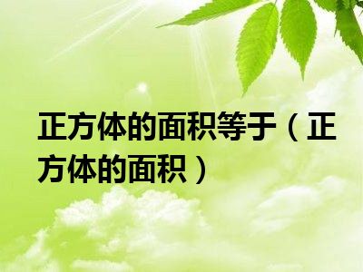 正方体的面积等于（正方体的面积）