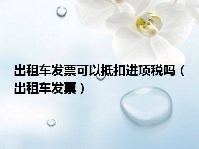 出租车发票可以抵扣进项税吗（出租车发票）