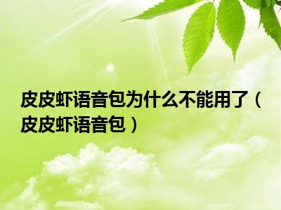 皮皮虾语音包为什么不能用了（皮皮虾语音包）