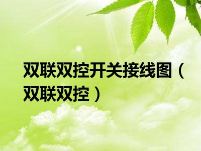 双联双控开关接线图（双联双控）