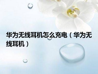 华为无线耳机怎么充电（华为无线耳机）