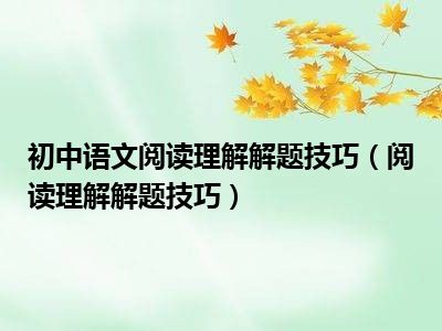 初中语文阅读理解解题技巧（阅读理解解题技巧）