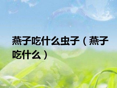 燕子吃什么虫子（燕子吃什么）