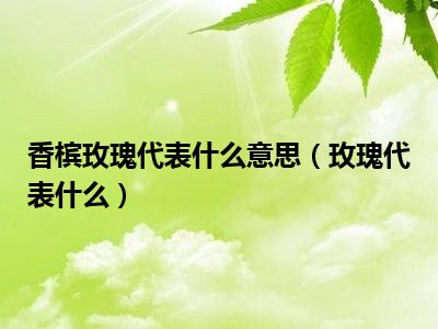 香槟玫瑰代表什么意思（玫瑰代表什么）