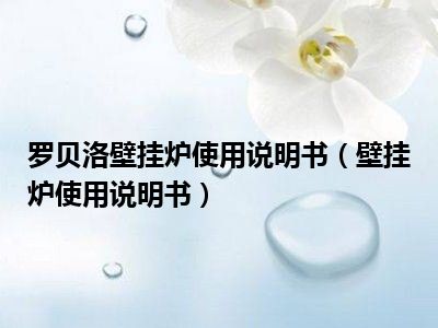 罗贝洛壁挂炉使用说明书（壁挂炉使用说明书）