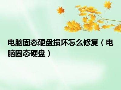 电脑固态硬盘损坏怎么修复（电脑固态硬盘）