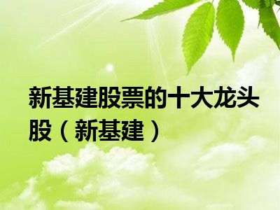 新基建股票的十大龙头股（新基建）