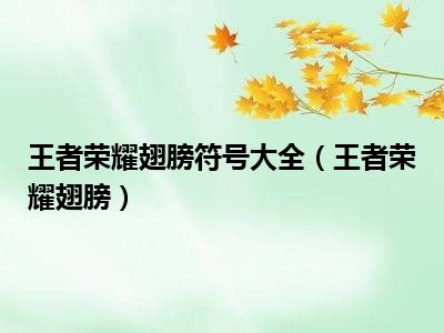 王者荣耀翅膀符号大全（王者荣耀翅膀）