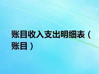 账目收入支出明细表（账目）