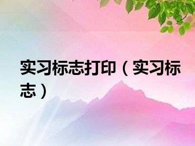 实习标志打印（实习标志）