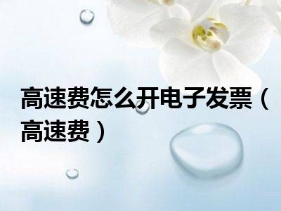 高速费怎么开电子发票（高速费）