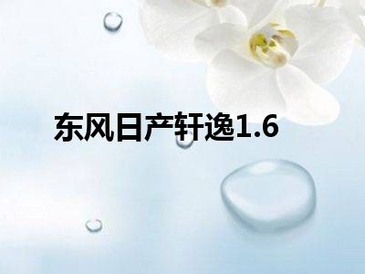 东风日产轩逸1.6