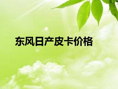 东风日产皮卡价格