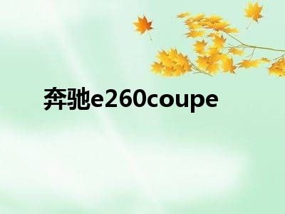 奔驰e260coupe