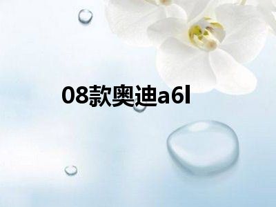 08款奥迪a6l