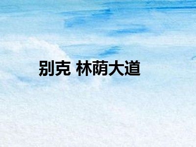 别克 林荫大道