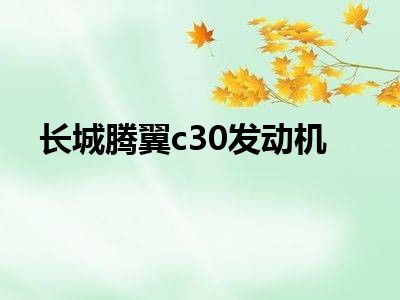长城腾翼c30发动机