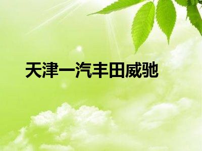 天津一汽丰田威驰