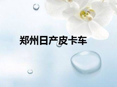 郑州日产皮卡车