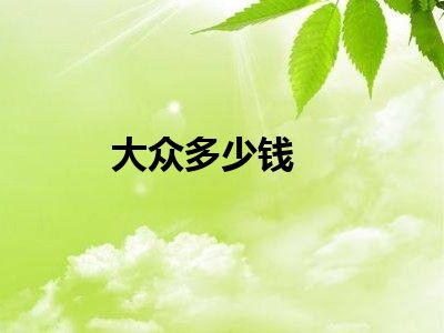 大众多少钱