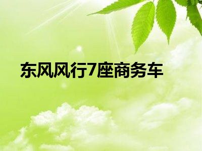 东风风行7座商务车