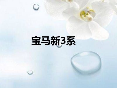 宝马新3系