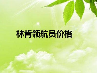 林肯领航员价格