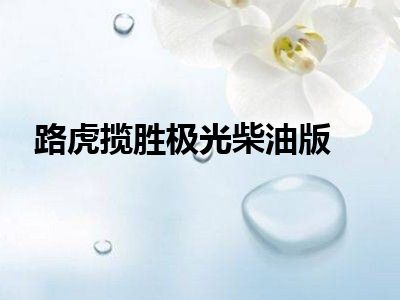 路虎揽胜极光柴油版