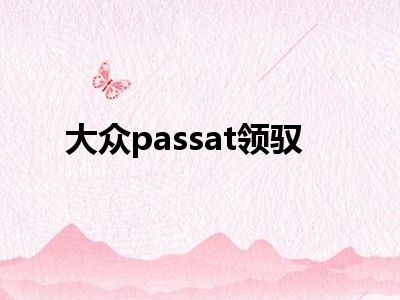 大众passat领驭