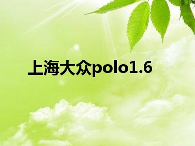 上海大众polo1.6