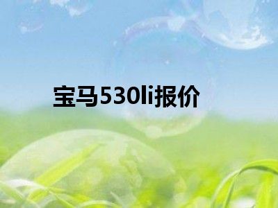 宝马530li报价