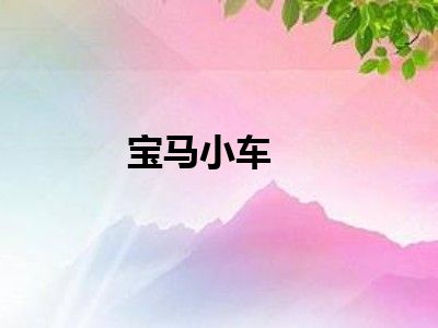 宝马小车
