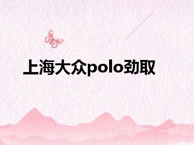 上海大众polo劲取