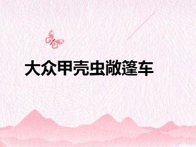 大众甲壳虫敞篷车