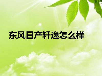 东风日产轩逸怎么样