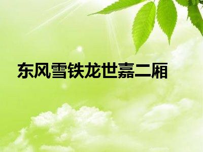东风雪铁龙世嘉二厢
