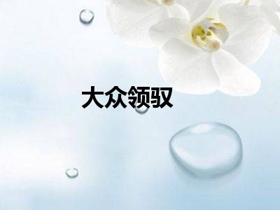 大众领驭