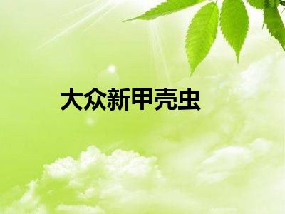 大众新甲壳虫