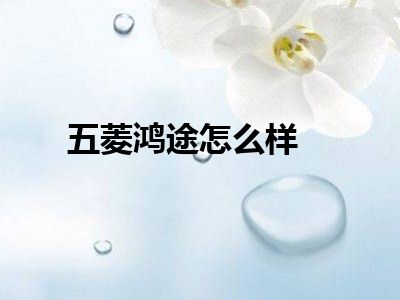 五菱鸿途怎么样