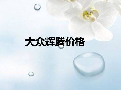 大众辉腾价格