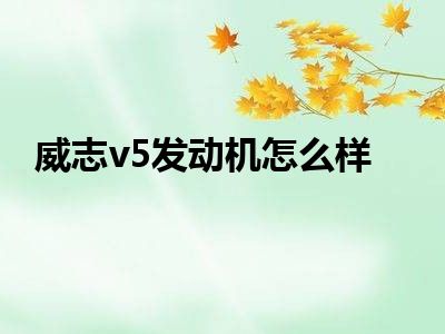 威志v5发动机怎么样